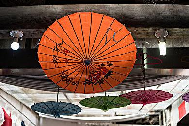 《魔咒之地》实机演示预告 1月24日发售